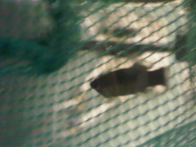 IMG00342-20100928-2048.jpg IMG00342-20100928-2048.jpg