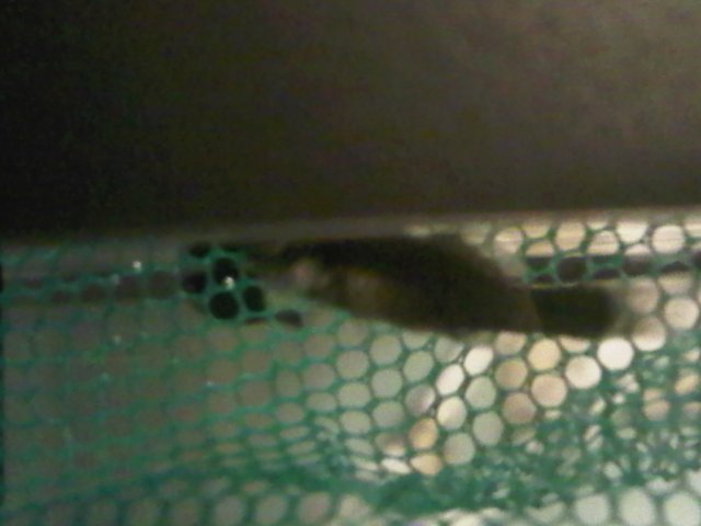 IMG00343-20100928-2049.jpg IMG00343-20100928-2049.jpg