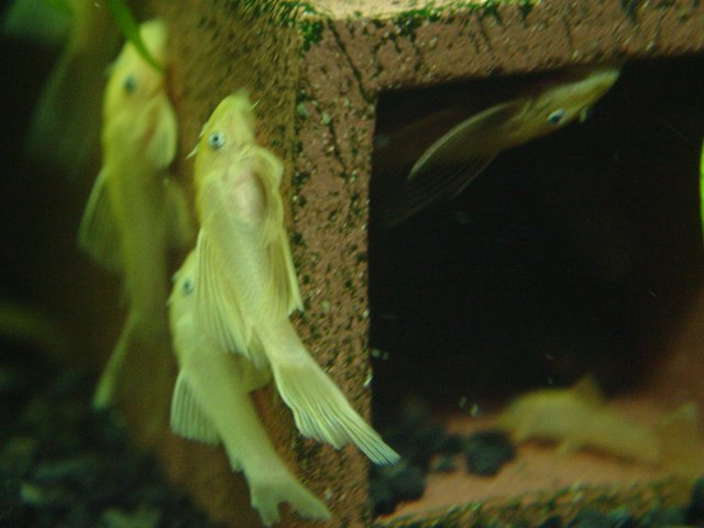 DSC07502.JPG