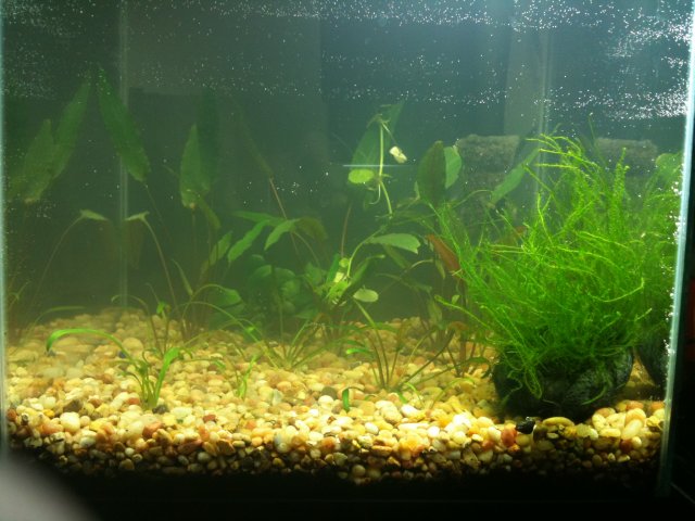 090310 iphone 030.jpg