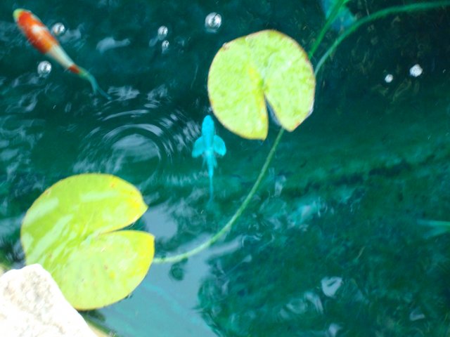 DSC09020.JPG