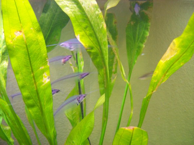 100_2319.JPG