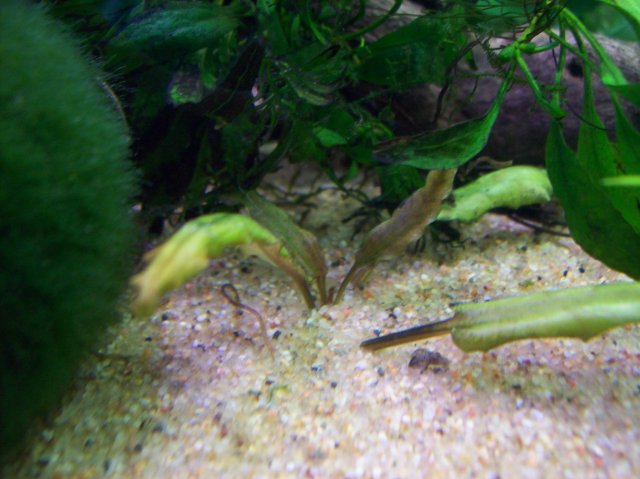 100_2303.JPG