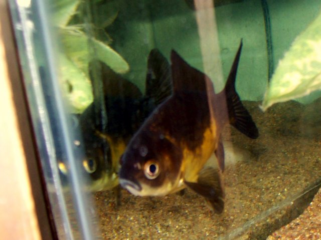 100_2143.JPG