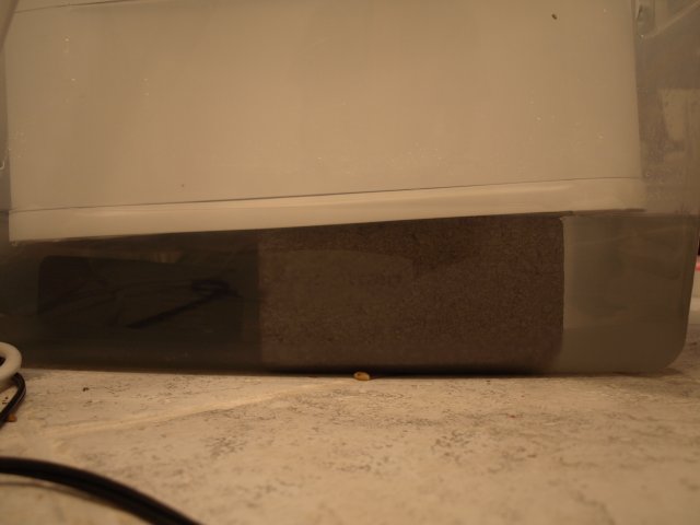 PA104035.JPG PA104035.JPG