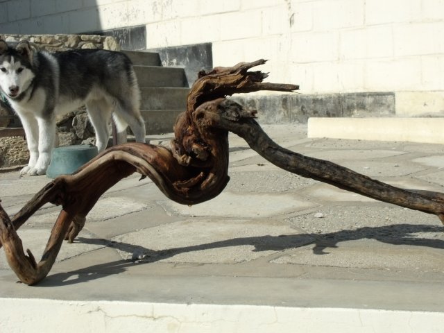 Picture 172.jpg