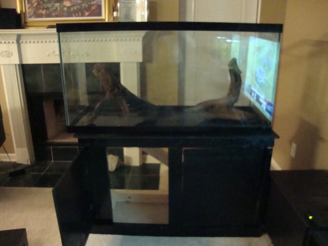 DSC00850.JPG