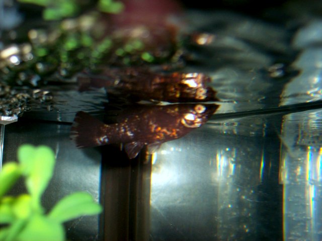 100_2205.JPG