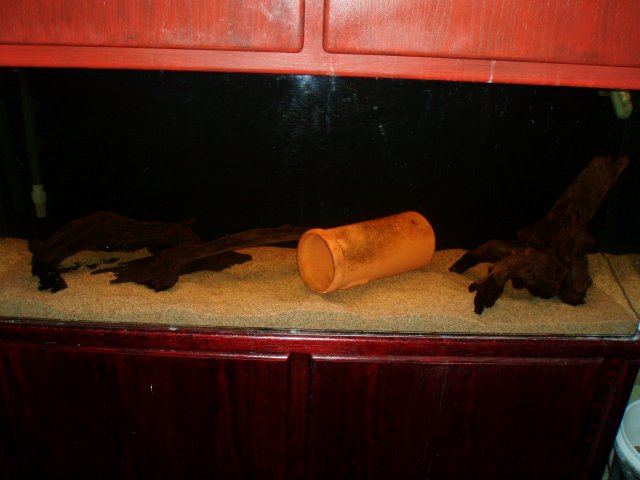 55g 01.JPG