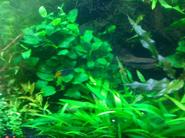 photo(13).jpg