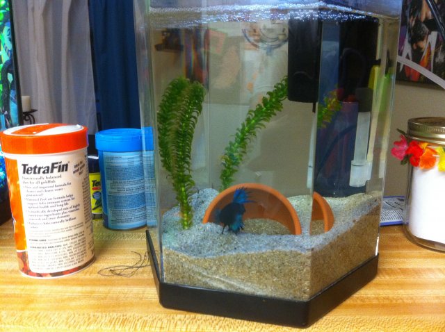 IMG_0624.JPG IMG_0624.JPG