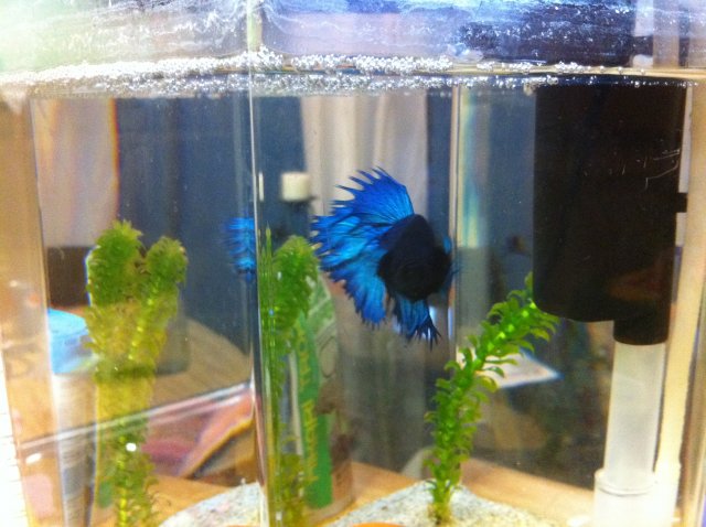 IMG_0625.JPG IMG_0625.JPG