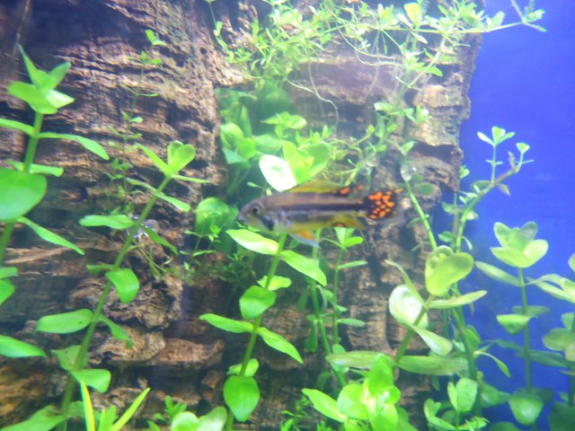 DSC00060.JPG