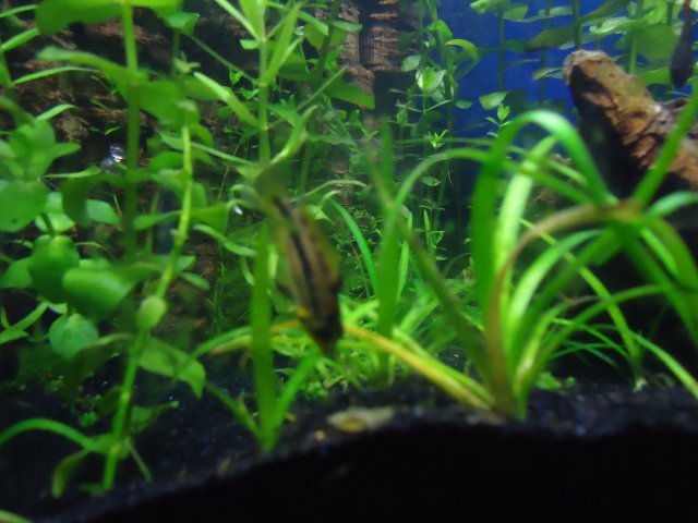 DSC00057.JPG