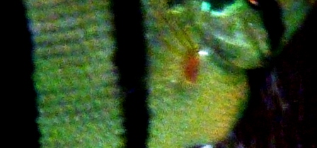 P1010911-2.jpg