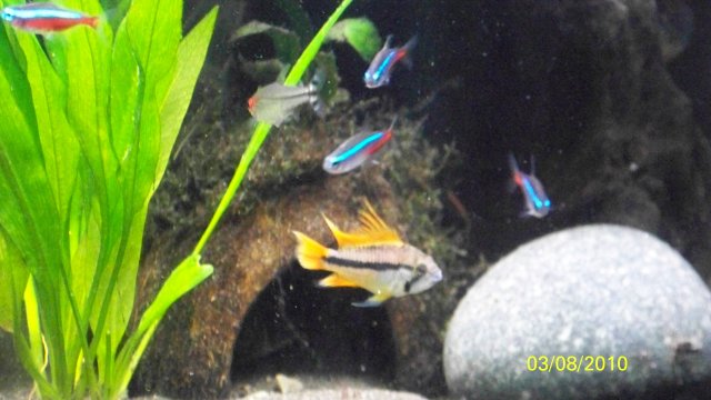 100_2321.jpg