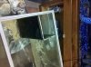 IMG_20101016_180310.jpg