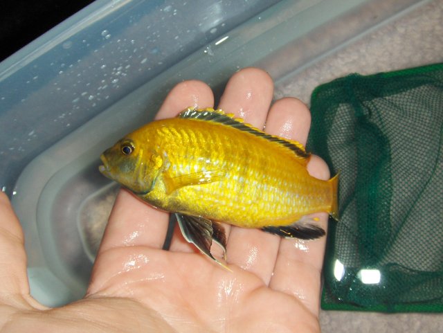 Picture 003.jpg
