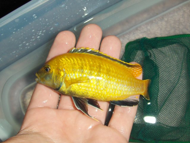 Picture 004.jpg