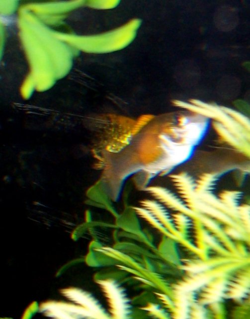 100_2222.JPG
