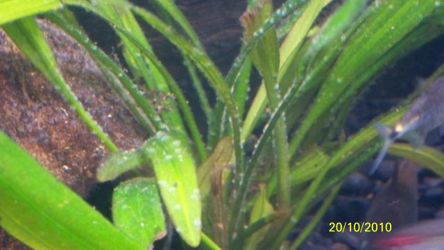100_2764.jpg
