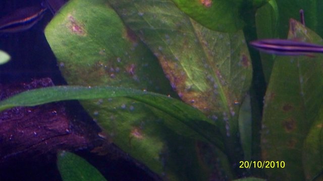 100_2765.jpg