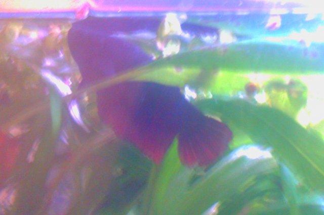 IMAG0112.jpg