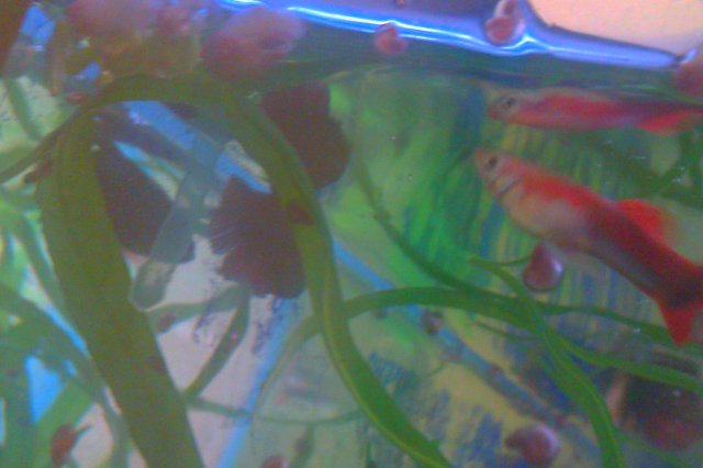IMAG0111.jpg