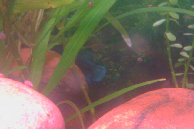 IMAG0110.jpg