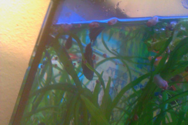 IMAG0107.jpg