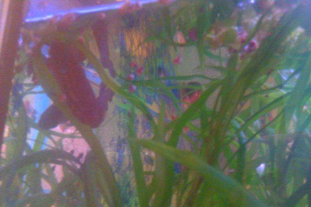 IMAG0105.jpg