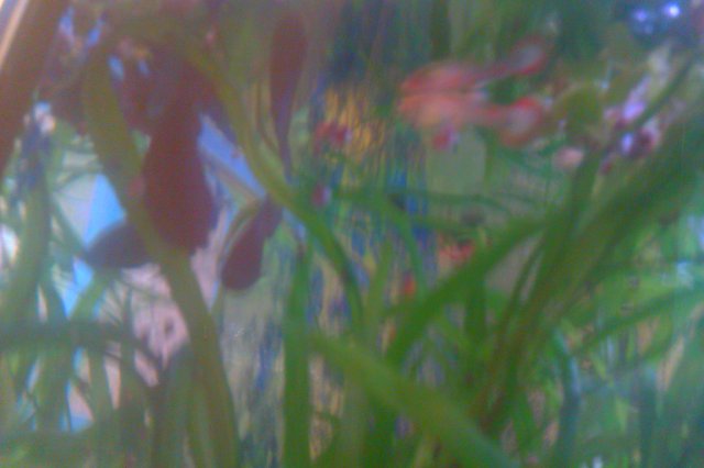 IMAG0104.jpg