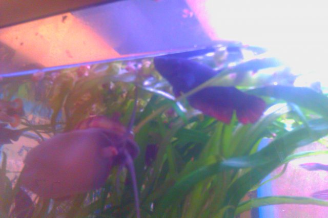 IMAG0102.jpg