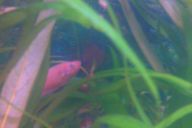 IMAG0094.jpg