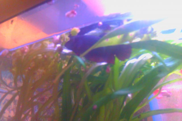 IMAG0079.jpg