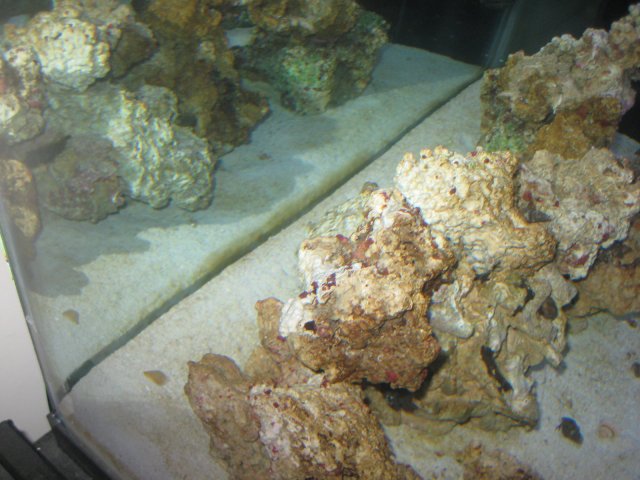 IMG_2431.JPG
