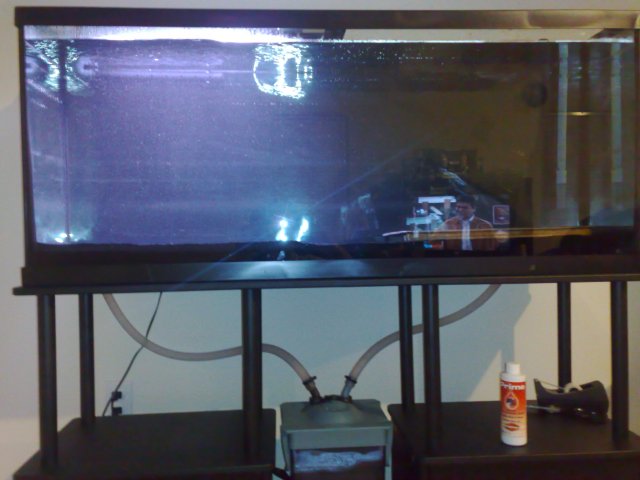 tank and water.jpg