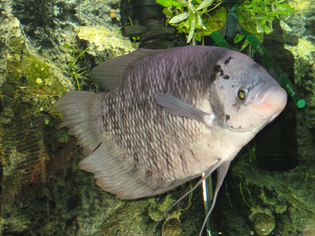 IMG_3686.jpg