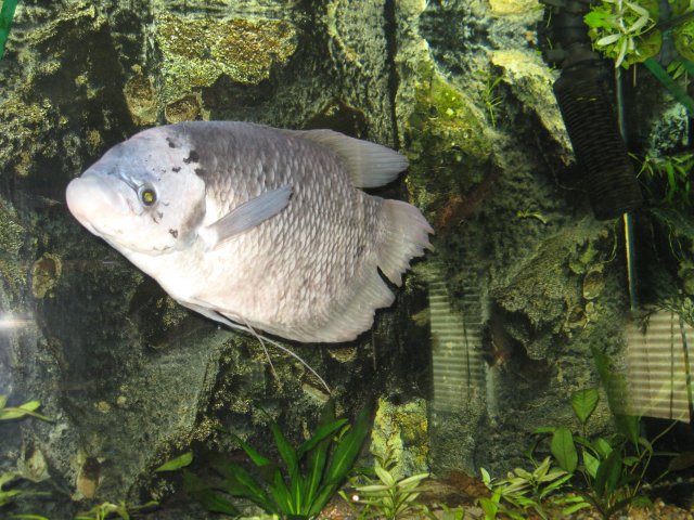 IMG_3689.jpg