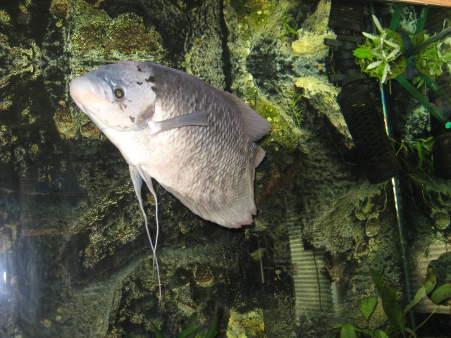 IMG_3690.jpg
