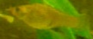 Screen shot 2010-10-29 at 3.48.50 PM.png