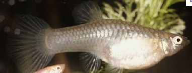 Screen shot 2010-10-29 at 6.36.42 PM.png