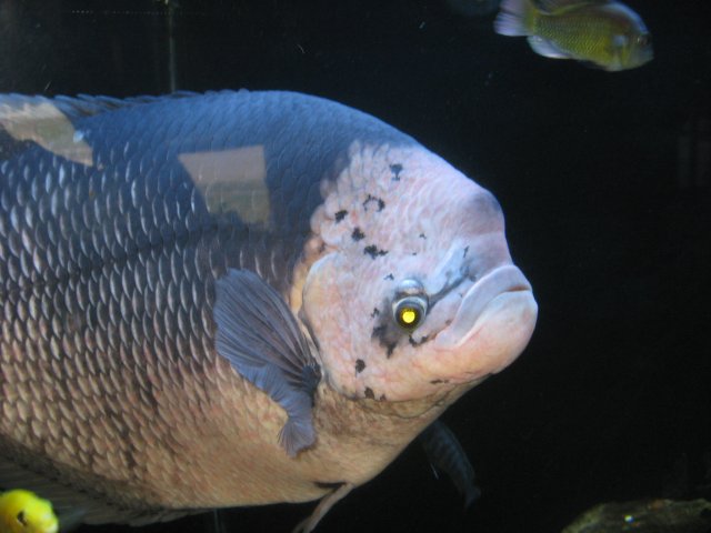 IMG_3676.jpg