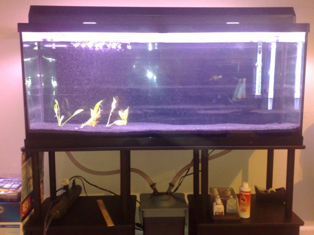 10282010408.jpg