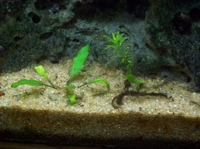 100_2377.JPG