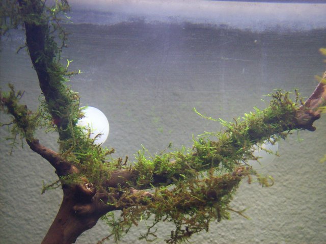 100_2376.JPG