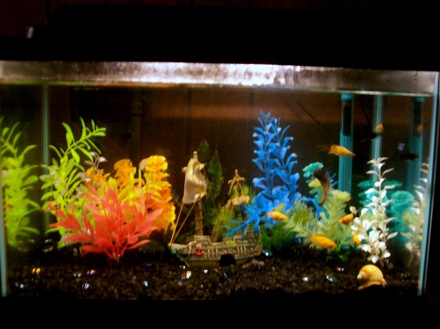 100_2375.JPG