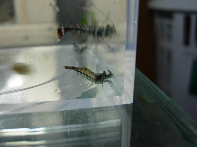 DSCN5362.JPG