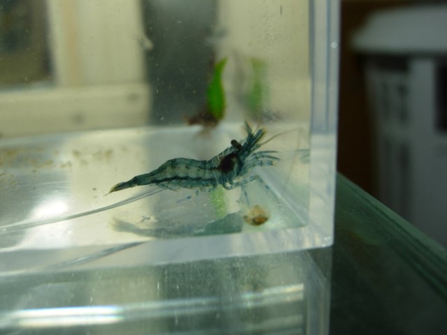 DSCN5392.JPG
