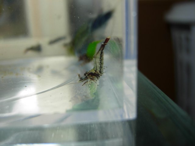 DSCN5409.JPG